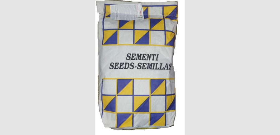 Seminte si plante