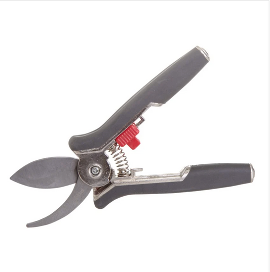 FOARFECA VIE CU ARC SI MANER 40007