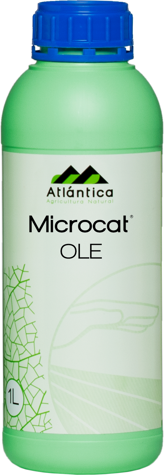 MICROCAT OLE 1L