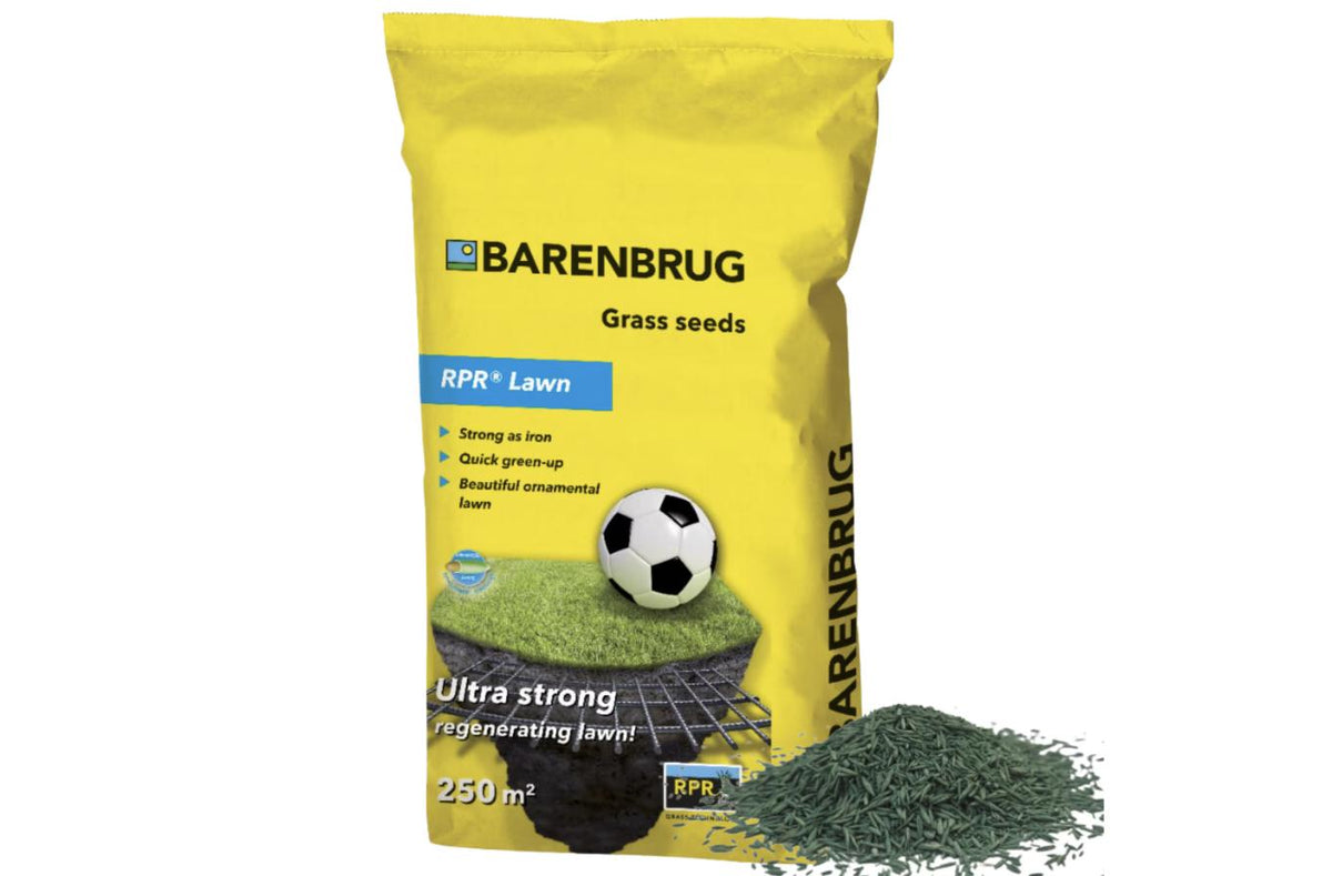 Gazon BRB Play&sport 5KG