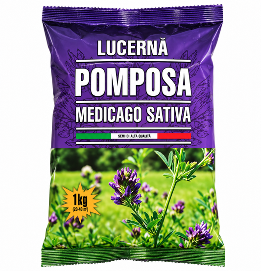 LUCERNĂ AMBALATĂ 1 KG