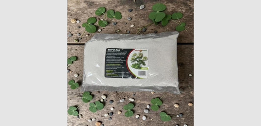 TRIFOI ALB HUIA 400 GR