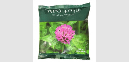 TRIFOI ROȘU